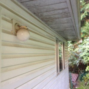 Vinyl Siding before cleaning