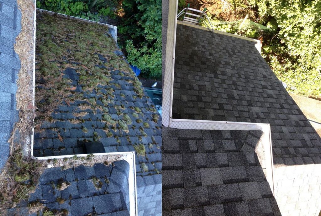 Roof Cleaning in Nanaimo BC