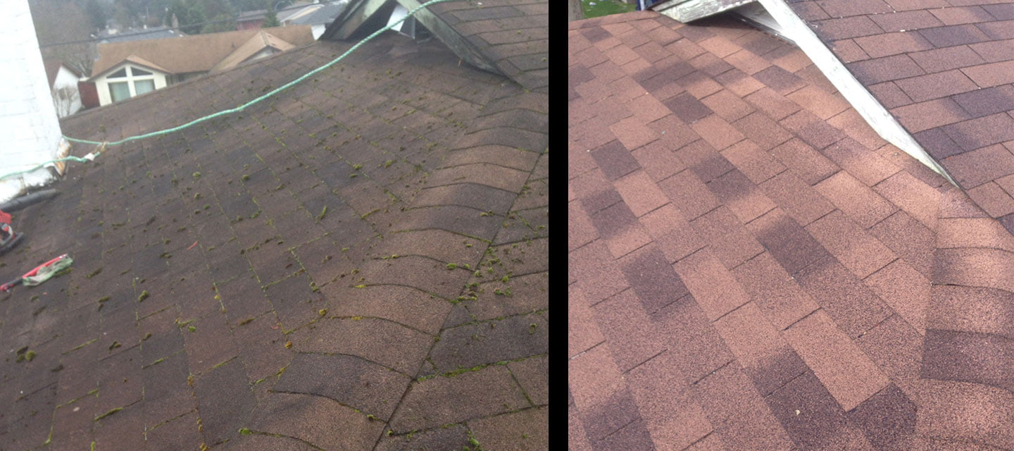 Roof Cleaning & Exterior Cleaning Services Nanaimo