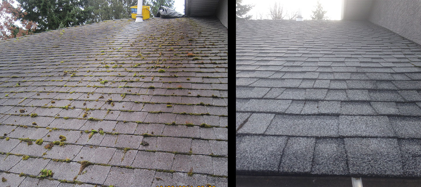 A close up view of a roof before and after it was demossed.