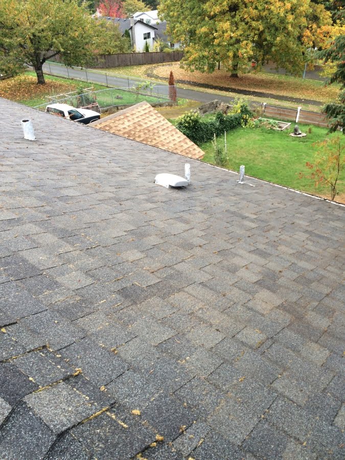 Cleaned Roof