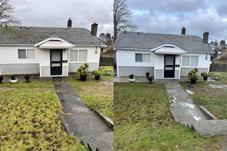 a before and after shot of a home's exterior, showing moss removal
