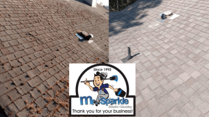 before/after shot showing moss removal on a roof