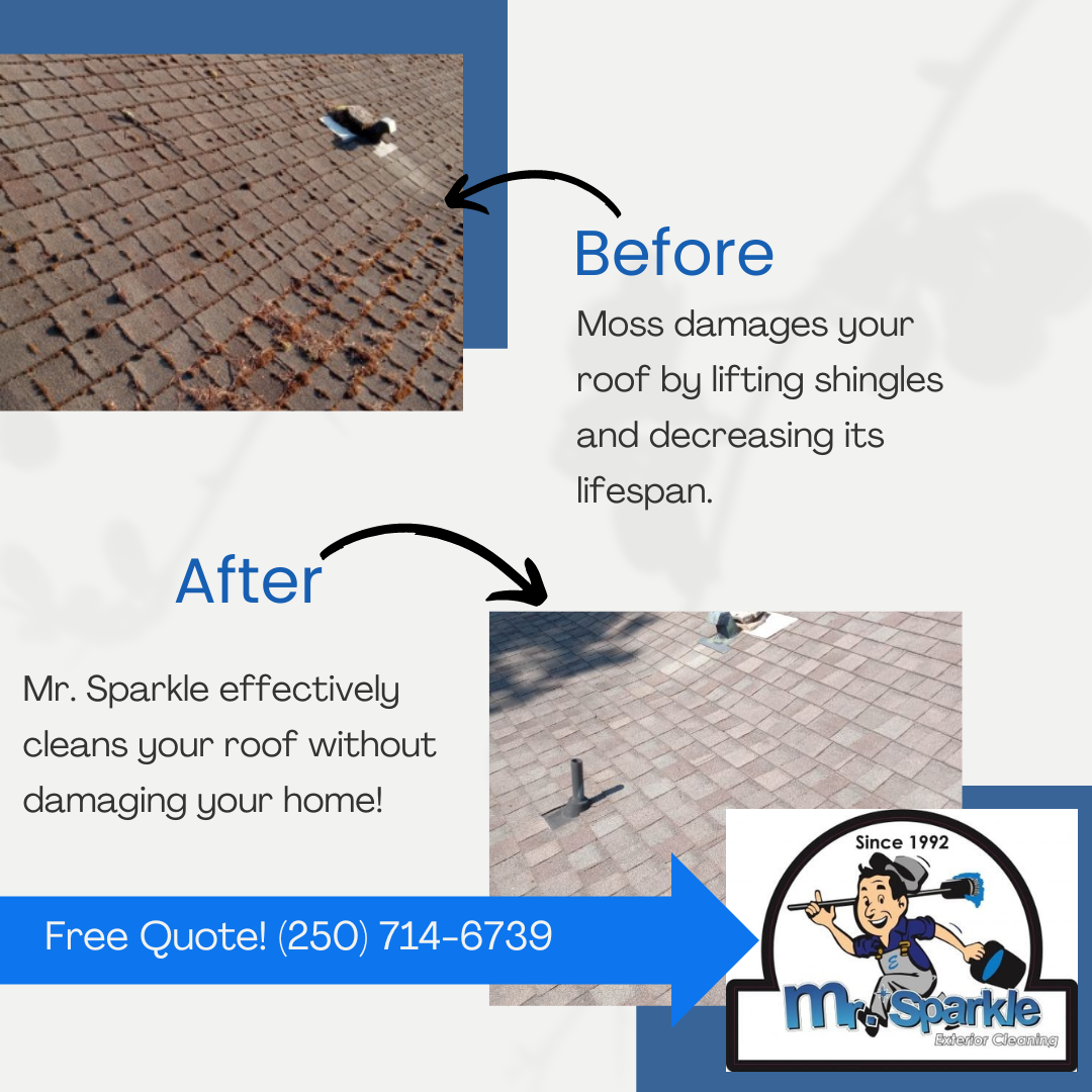 Before and after results of roof cleaning in Nanaimo by Mr. Sparkle