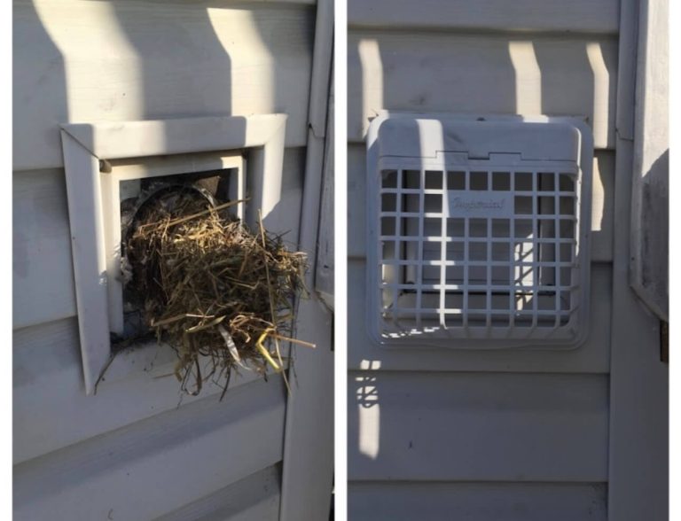 Before/after dryer vent cleaning