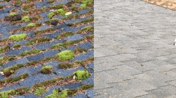 Nanaimo Exterior Cleaning Services - Roof Demossing