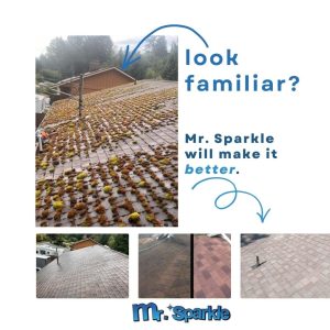 How Much Does Roof Moss Removal Cost Near Me in Nanaimo? (2026 Pricing Guide)